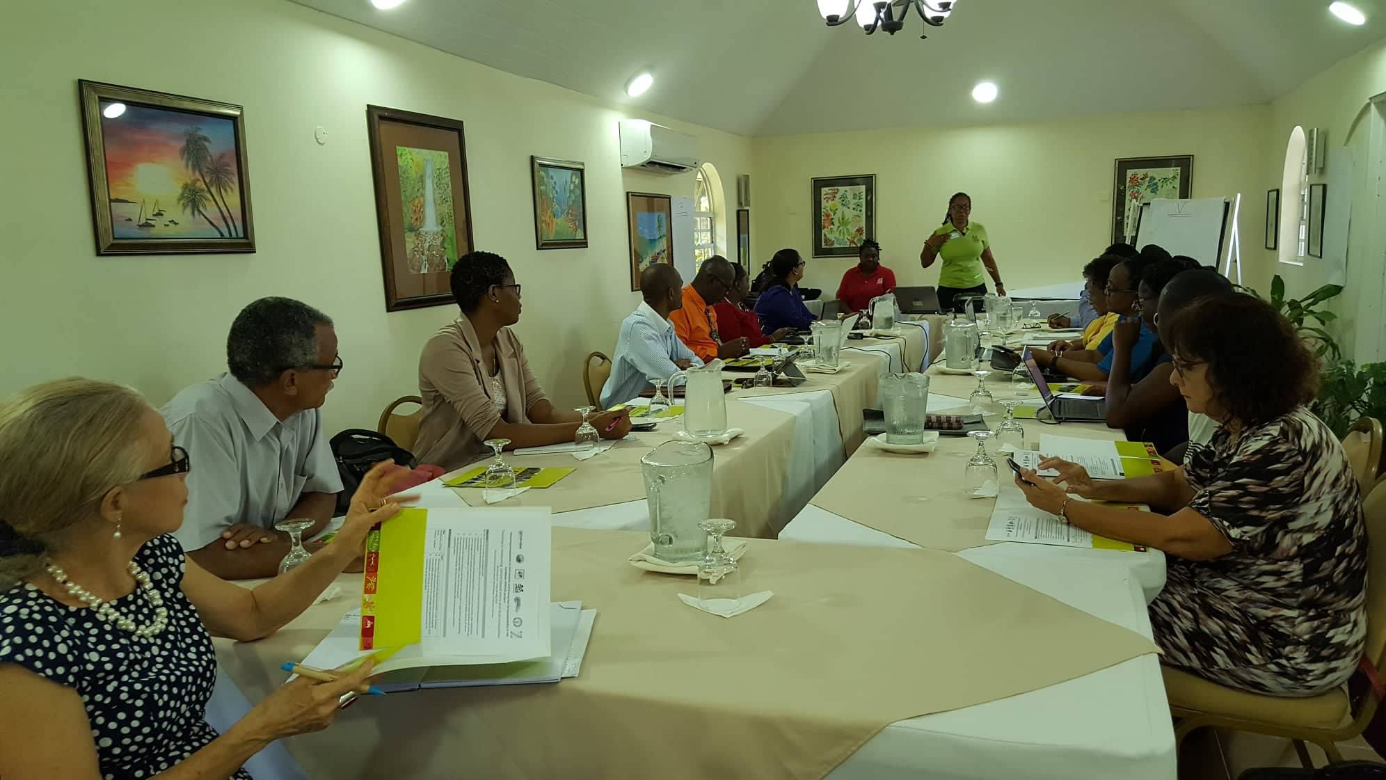 The Impact of the International Community on NGO Development