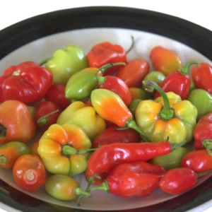 Flavor, Pimento & Hot Pepper